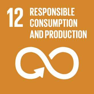12. Responsible consumption and production