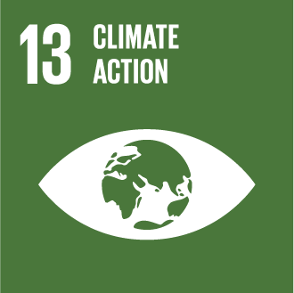 13. Climate action