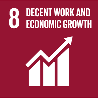 8. Decent work and economic growth
